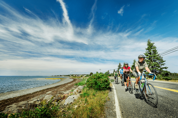 four cyclists on a road looking at a beach to their right on a sunny day